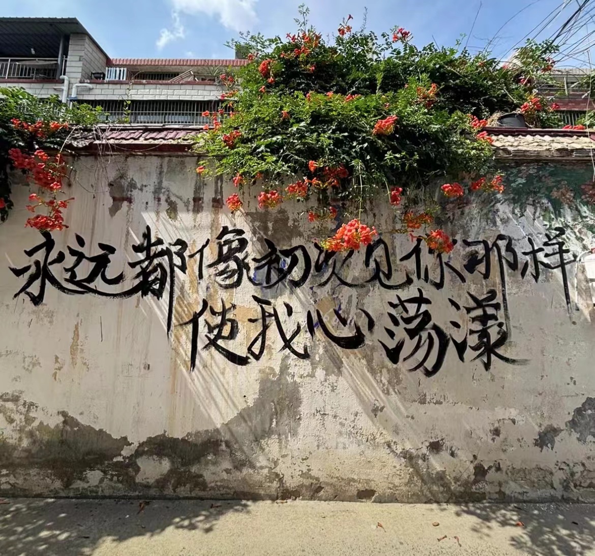 侧边栏壁纸